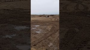 ОТКОРМ БЫКОВ. БЫКИ НА ОТКОРМЕ 4 МЕСЯЦА