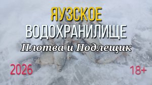 Зимняя рыбалка по первому льду. Яузское водохранилище.