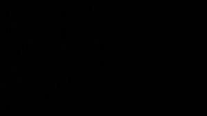 Кто такой Антон