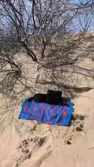 Анапа. Море