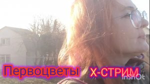 САД-ОГОРОД, Прогулка с чашечкой КОФЕ.