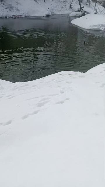 #Кекс #прогулка #охотник