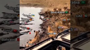 Неприятная ситуация на Ближнем Востоке