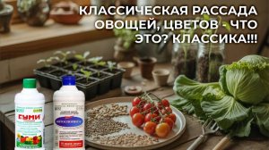 Биоэликсир всхожести для семян вашей рассады