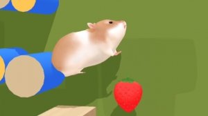 Hamster Maze. Хомяк в лабиринте