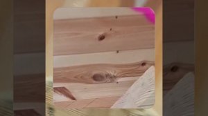 1000050958.mp4 (Собака наблюдает за устройством лестницы на 2-ой этаж в доме А-фрейм)