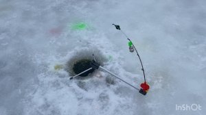 Продолжаем поимки форы