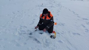 Зимняя рыбалка на жерлицы. Ловим щуку на живца.