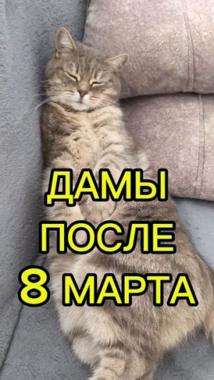 После 8 марта