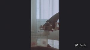 спасаем белочку 1 часть