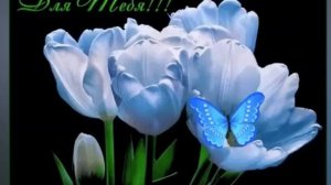 Ягода малинка