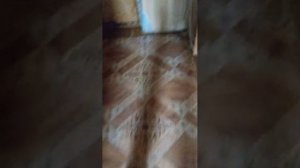 всем привет 👋