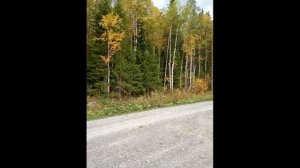 Красотишча Beauty