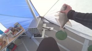 ОДНА ЗА ОДНОЙ... КРУПНЫЙ, ГОРБАТЫЙ#