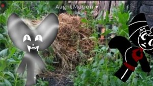 строю армию против SOFI😜