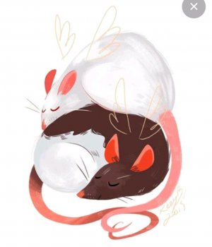 Зая наш чемпион