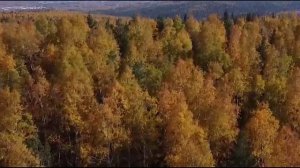 ОСЕННЯЯ ГРУСТЬ (1)