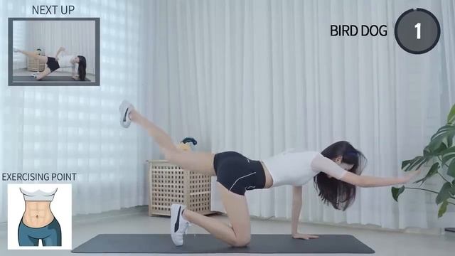 10 MIN FLAT BELLY PILATES AT HOME _ TINY WAIST(NO WIDER) & CORE _ BEGINNER FRIENDLY _Shirlyn Workout