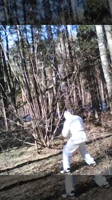 Ангельский ниндзя - Приручка барса (03.04.2019.) Angeles ninja - Taming the porpoising #ForestNinja