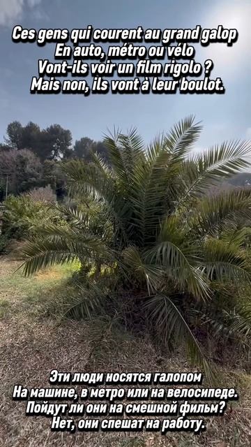 Le travail c’est la santé ~ Французские песни