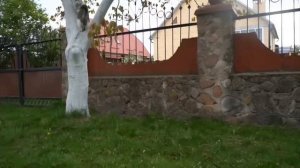 ВОПРОС ОТВЕТ! А ну-ка давай-ка 🐱