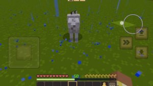 Изучаем новую школу 75 в Майнкрафте