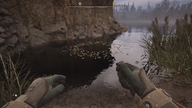 С.Т.А.Л.К.Е.Р. 2 -Аномальная активность №52