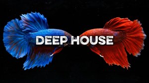 Музыка в Машину 2026 🚘 | Deep House Микс | музыка для фона