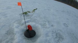 Рыбалка 09-10.03.24.