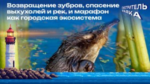 Спасение природы и спортивный марафон | Смотритель маяка с Романом Маякиным