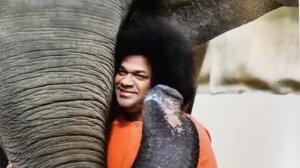 𓍢ִ໋🌷͙֒Саи Бхаджаны𓍢ִ໋🌷͙֒ Бхаджаны Ганеше, которые стоит послушать ❤️ 🙏