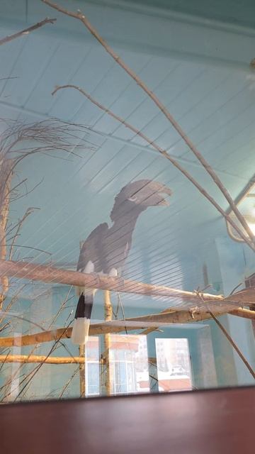 зоопарк Екб ч1 #лайфстайл