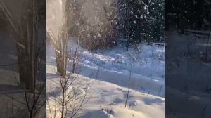 Шашлык по-женски...с дымком. 😁 ⠀ #berezzok#красныйбережок#шашлык#еда#домотдыха#юмор