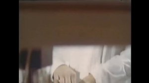 не известное об известном про пчел 1980г