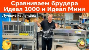 Брудер Идеал 1000 и Мини