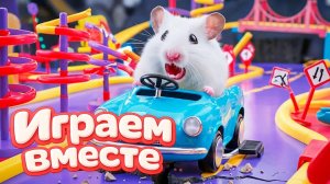 ХОМЯК ВЫБИРАЕТСЯ ИЗ СЕКРЕТНОЙ ХОМЯЧЕЙ ТЮРЬМЫ 🏁🐹 Помогаем выбраться из лабиринта №2