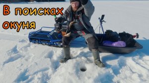 В поисках окуня