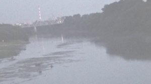 Елецкие зарисовки 2021