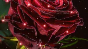 За любимых женщин Руслан Мелехин Автор видео Нина Рудакова