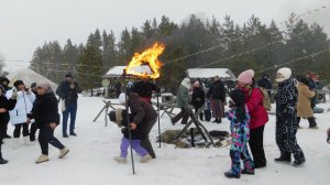 Сосновка. Питомник сибирских хаски. 8 марта 2026 г.