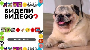 Видели видео? Выпуск от 09.03.2026