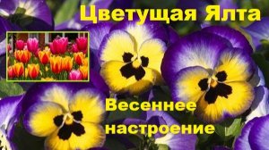 Ялта 8 Марта. Весеннее настроение