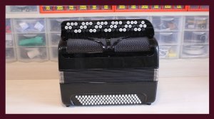 Трудовые будни / Ремонт Баяна "Московский  цельнопланочный"