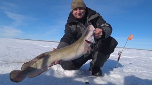 Рыбалка на налима жерлицами. Рыбалка в Нарьян-Маре на реке Печора.