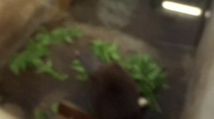 Воронежский заповедник 2021