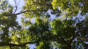 Один из дней города Евпатории | 30 июня 2021 г | Крым | ХАН БАТОН | XAH 6ATOH | VID_20210630_160900