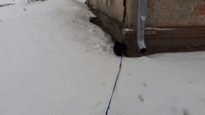 Надо все обойти и везде побывать.