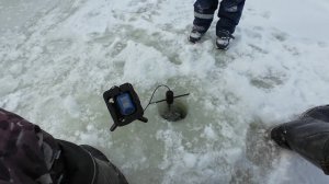 Иловля, весна)