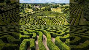 Порой я очень плохо вижу суть