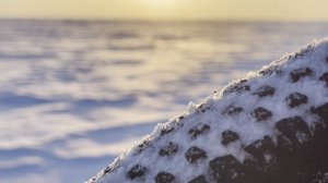 video-output-FC9C4418-F722-4E1B-BF11-D2C728E80E0E-1